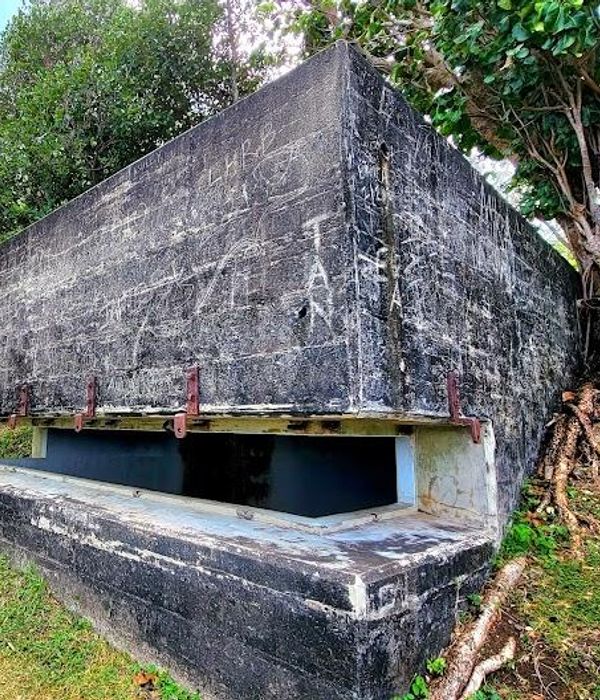 Nc1S8olqQ6Sh8jWQ2lvy 2