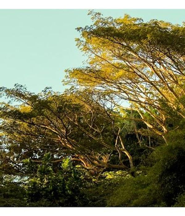 WCCorwTzQq2YNfTo2ZwA 2