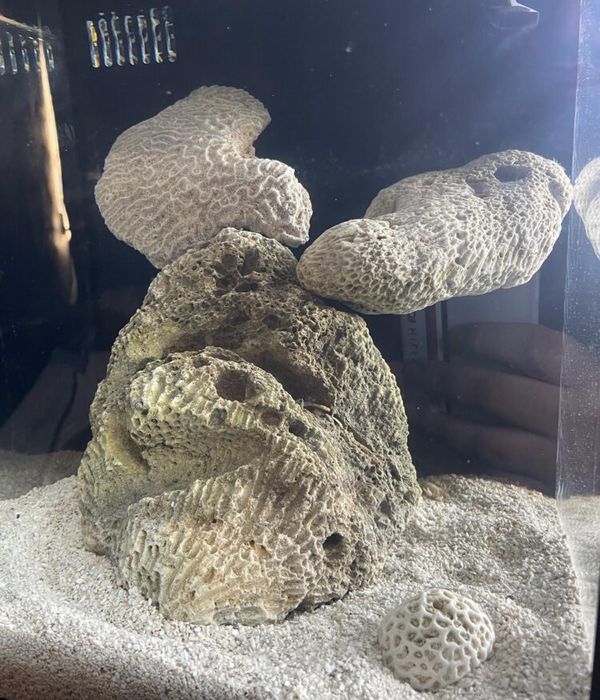 mO8mI2WQOZqGLlGvodcg 2