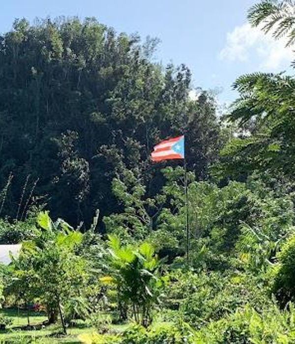 wgIVymgGROuqoFRpaGzw 2