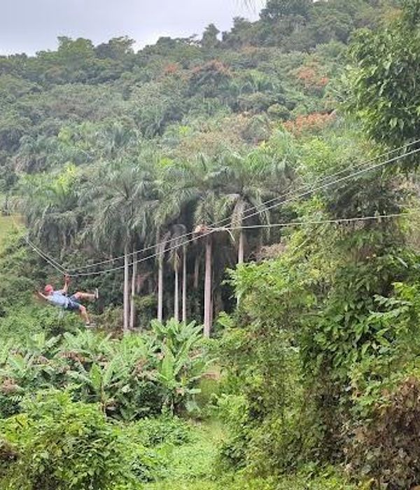 yK0RcGITBSB9UGM7ZPbC 2