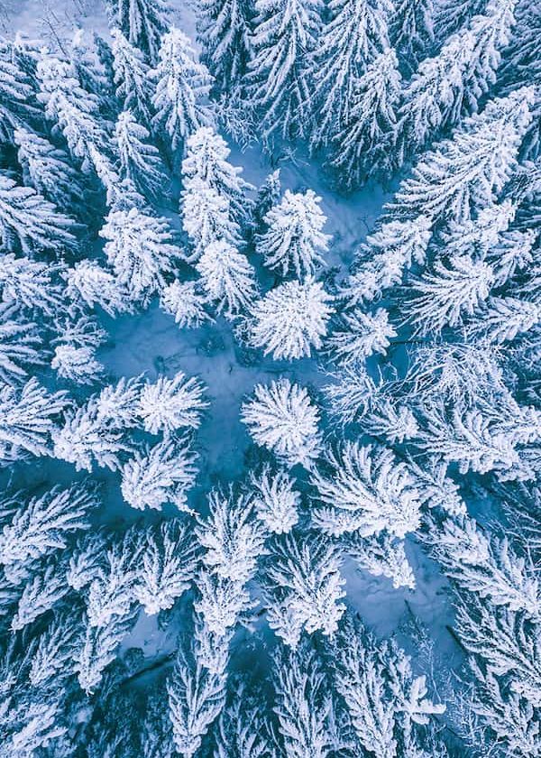 Serene Snoqualmie Pass forest surrounding our vacation rental properties, offering expert management services for a peaceful retreat in nature.