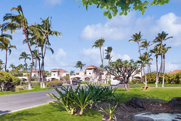 Scenic Resort Grounds with Palm Trees