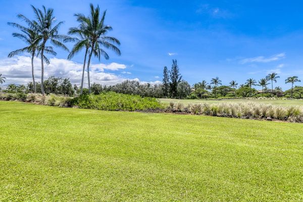 Lush Green Grounds & Tropical Palm Views