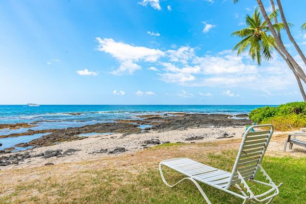 Find Your Front-Row Seat to Paradise