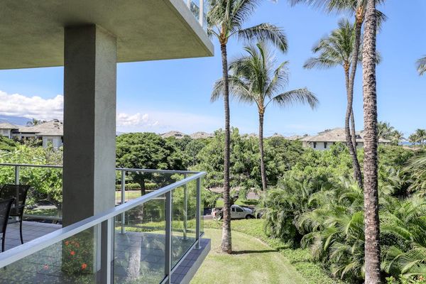 Palm-Filled Views From The Lanai