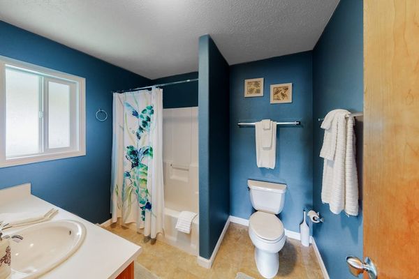 Bright Bathroom With Walk-In Shower