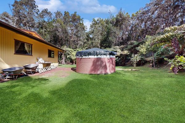Private Back Lawn & Surrounding Tropical Forest