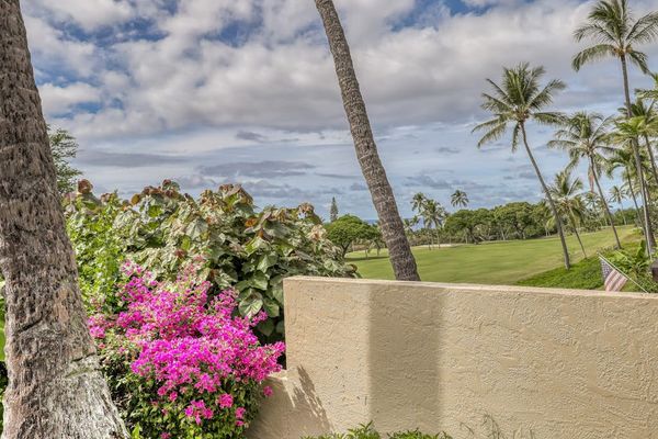 A picturesque backdrop of lush greenery and majestic palms right outside