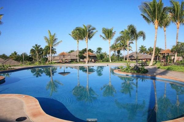 Sparkling Tropical Resort Pool Surrounded by Palm Trees