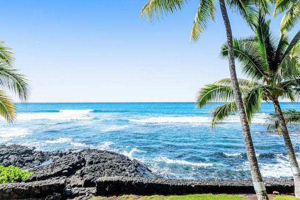 Pristine Ocean Views And Swaying Palms Just Steps Away