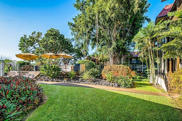 Lush Tropical Grounds to Explore & Enjoy