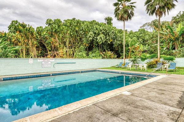 Sparkling Pool Surrounded By Palm Trees