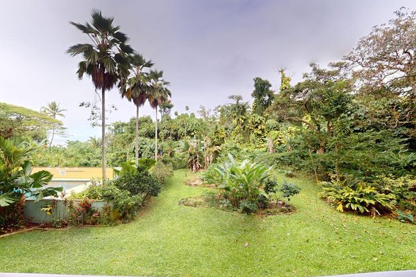 Lush Tropical Grounds To Explore