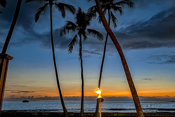 Sunset Magic Beneath Swaying Palms