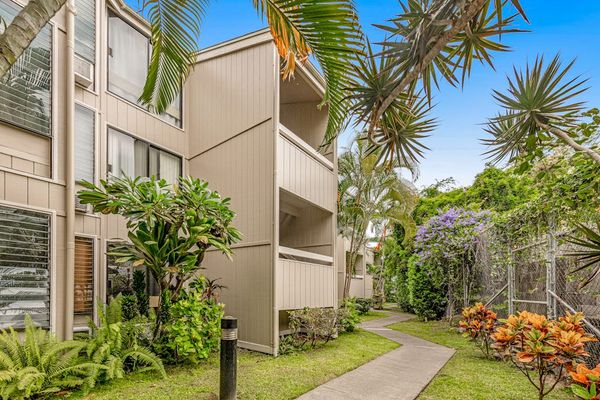 Lush Tropical Path To Your Retreat