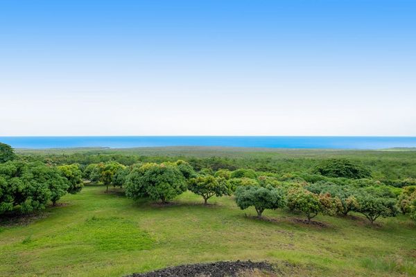 Panoramic Ocean & Forest Horizon Views from Property