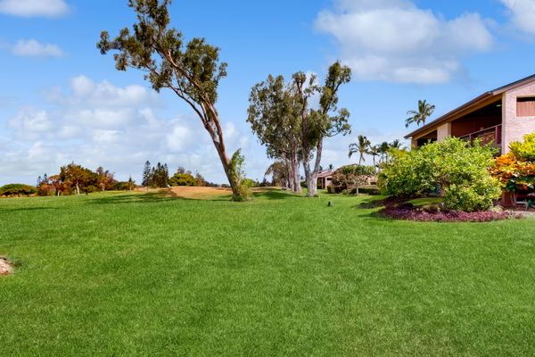 Open Lawn Surrounded By Island Beauty