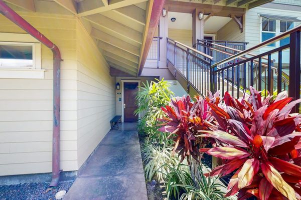 Lush Garden Walkway To Paradise