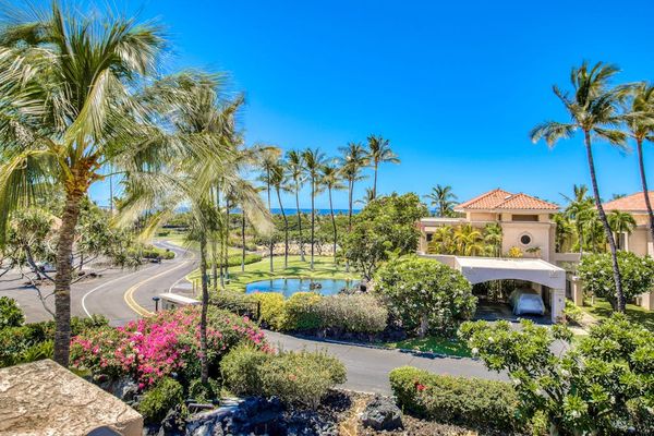 Palm Lined Paradise At Every Turn