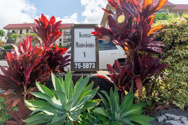 Property Entrance Sign with Tropical Landscaping and Foliage