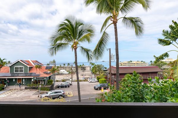 Panoramic Coastal Views, Ocean Horizon, Tropical Palm Trees & Nearby Town