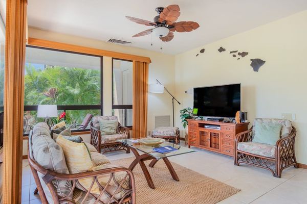Sunlit Living Area Framed by Large Bright Tropical Windows