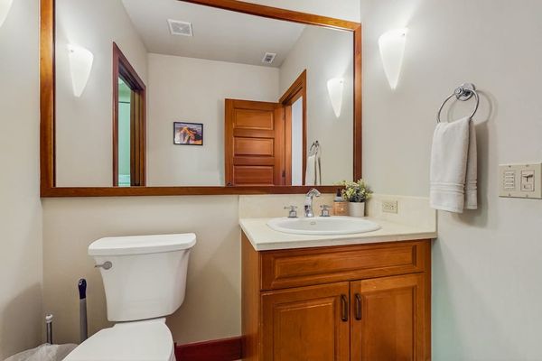 Guest bathroom with large walk-in shower.
