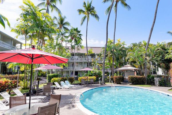 Poolside Paradise Under Swaying Palms