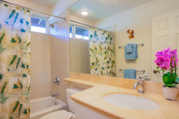 Bright bathroom with a shower and vanity