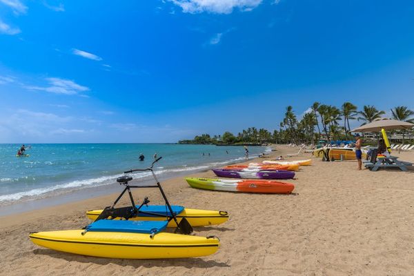 Traditional Hawaiian canoes by the shore