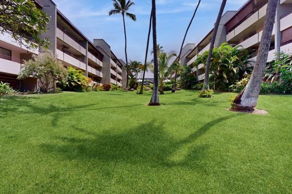 Lush Tropical Courtyard Lawn