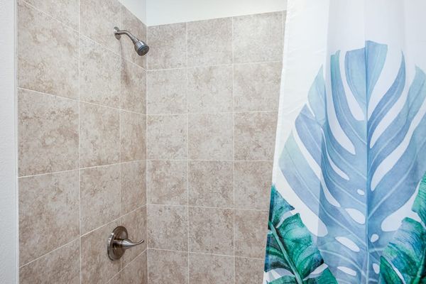 Elegant Walk In Tile Shower