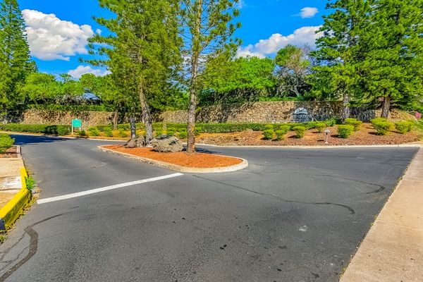 Scenic Tree Lined Resort Entrance