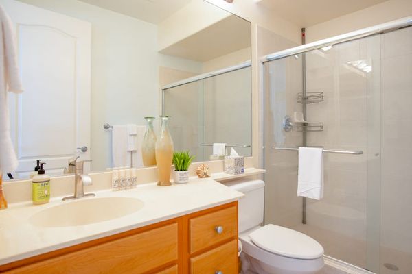 Guest Bathroom View featuring Vanity Mirror & Glass Shower Door