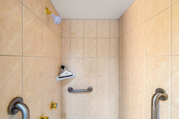 Walk In Shower With Safety Grab Bars