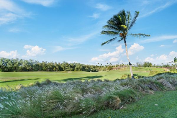 Sweeping Fairway Island Views