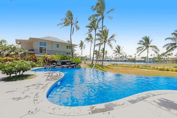 Tropical Pool With Palms