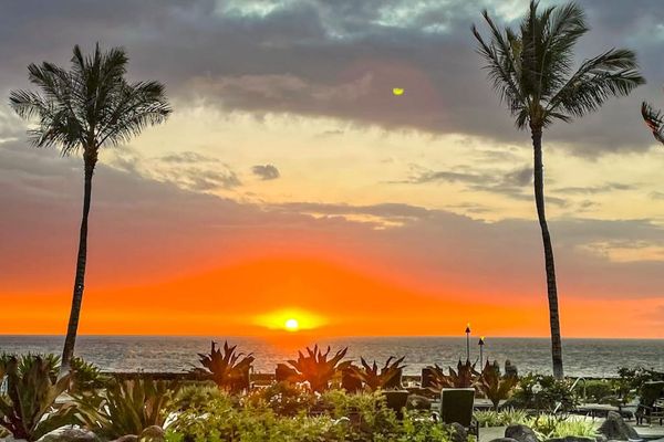 Golden Sunset Horizon View Frame by Palm Trees & Resort Grounds