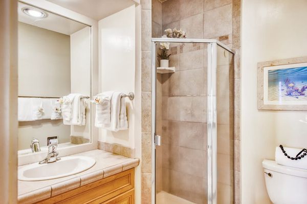 Spa-Inspired Walk-In Shower