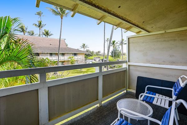 Your Front-Row Seat to Paradise