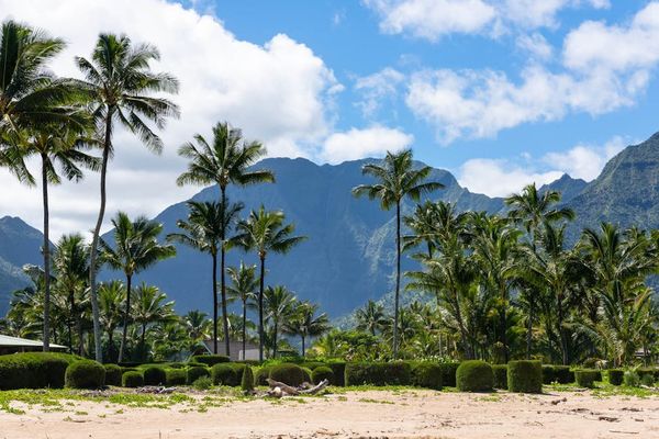 Majestic Mountain And Ocean Backdrop