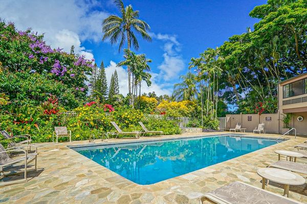 Palm Lined Pool Paradise
