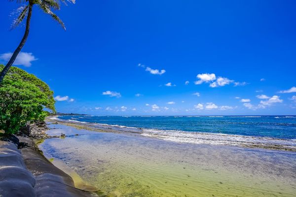 See where paradise meets the Ocean