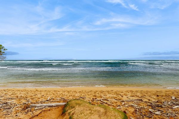 Golden Beachfront Escape Under Blue Skies