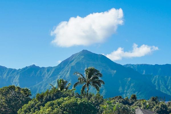 Peaceful views of lush tropical foliage and the surrounding mountains.
