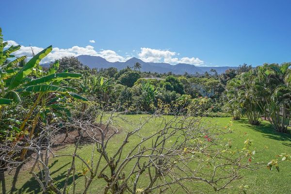 Lush tropical views