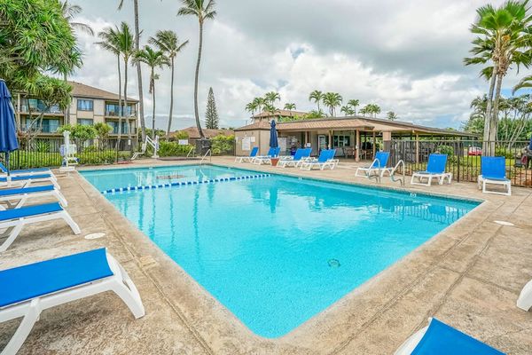 Inviting Resort Pool Under Palm Trees