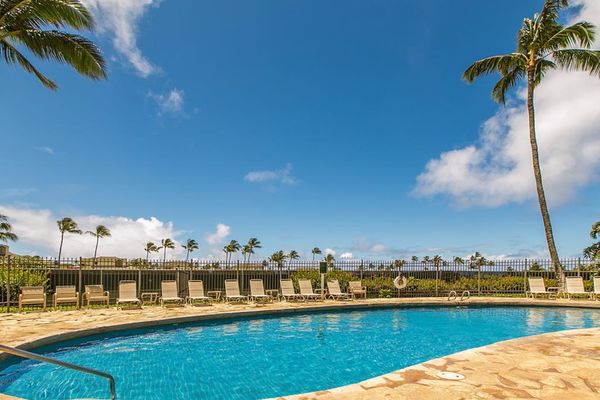Relax poolside surrounded by tropical landscaping