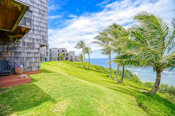 Manicured tropical grounds leading right up to the ocean view